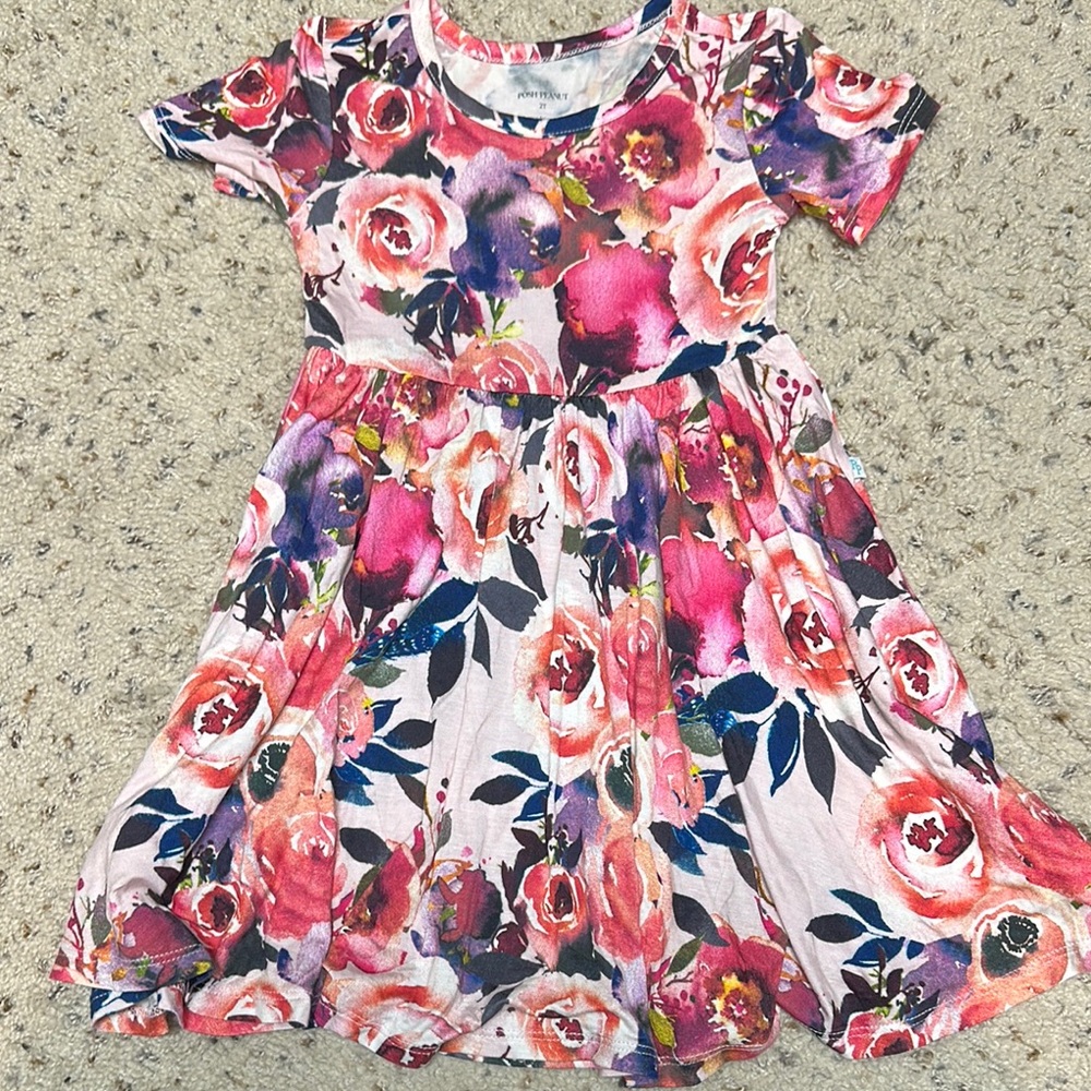 Dusk Rose Posh Peanut Dress